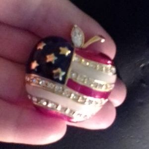 Vintage Flag Apple Brooch